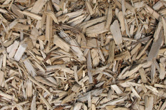 biomass boilers Brazenhill